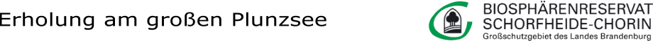 Plunzsee Logo